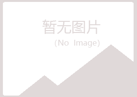 山丹县夏岚金属有限公司